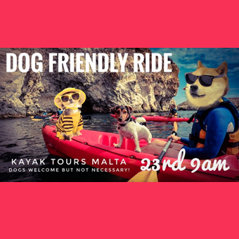 Kayakdog340