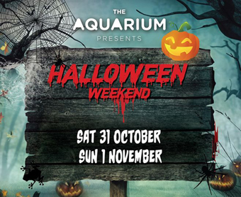 Halloween Aquarium340