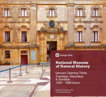 museum natural history
