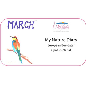 nature diary