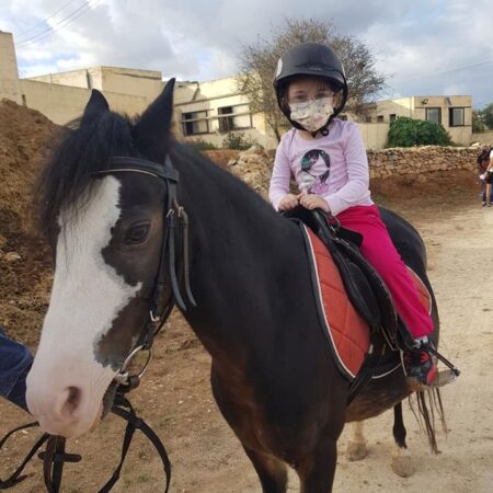 Horse Riding Malta