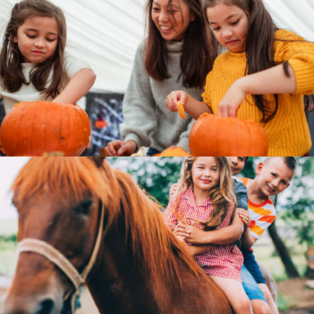 horseyhalloween