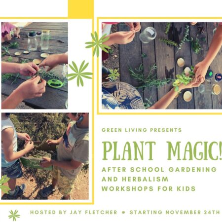 Plant Magic