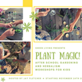 Plant Magic1