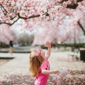 welcome spring