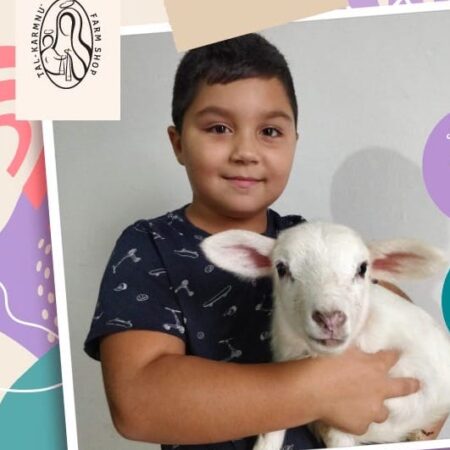 311380498_439159668325948_6936264877598458897_n