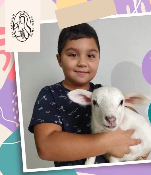 Sheep farm visits and family photos with lambs Malta Baby & Kids