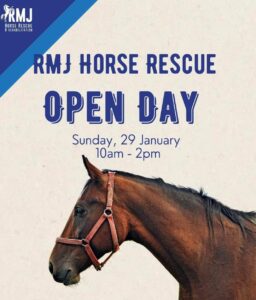 RMJ's Horse Rescue