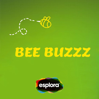 Bee Buzz pp