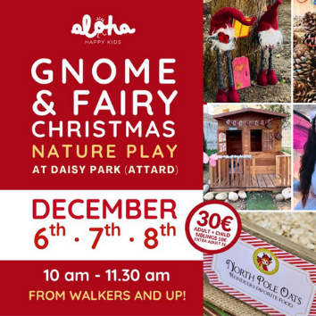 Gnome & Fairy Christmas Nature Play