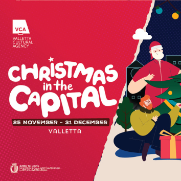 Gnome & Fairy Christmas Nature Play(10)