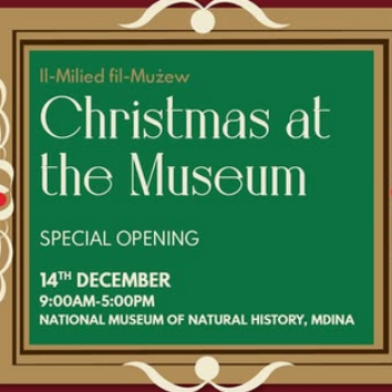 Gnome & Fairy Christmas Nature Play(4)