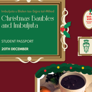 Gnome & Fairy Christmas Nature Play(8)