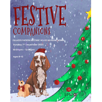 Gnome & Fairy Christmas Nature Play(9)