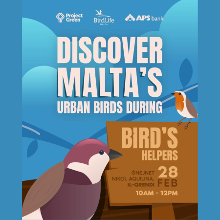 Discover Malta's Discover Malta's