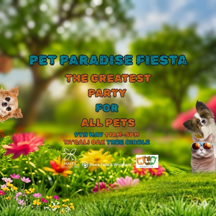 Pet paradise fiesta