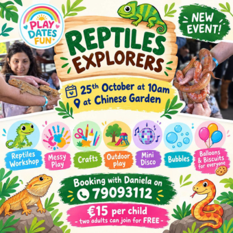 340x340px